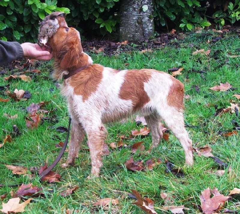 Cachou du Tucoulet